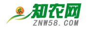 三农新闻资讯服务三农发展-知农网
